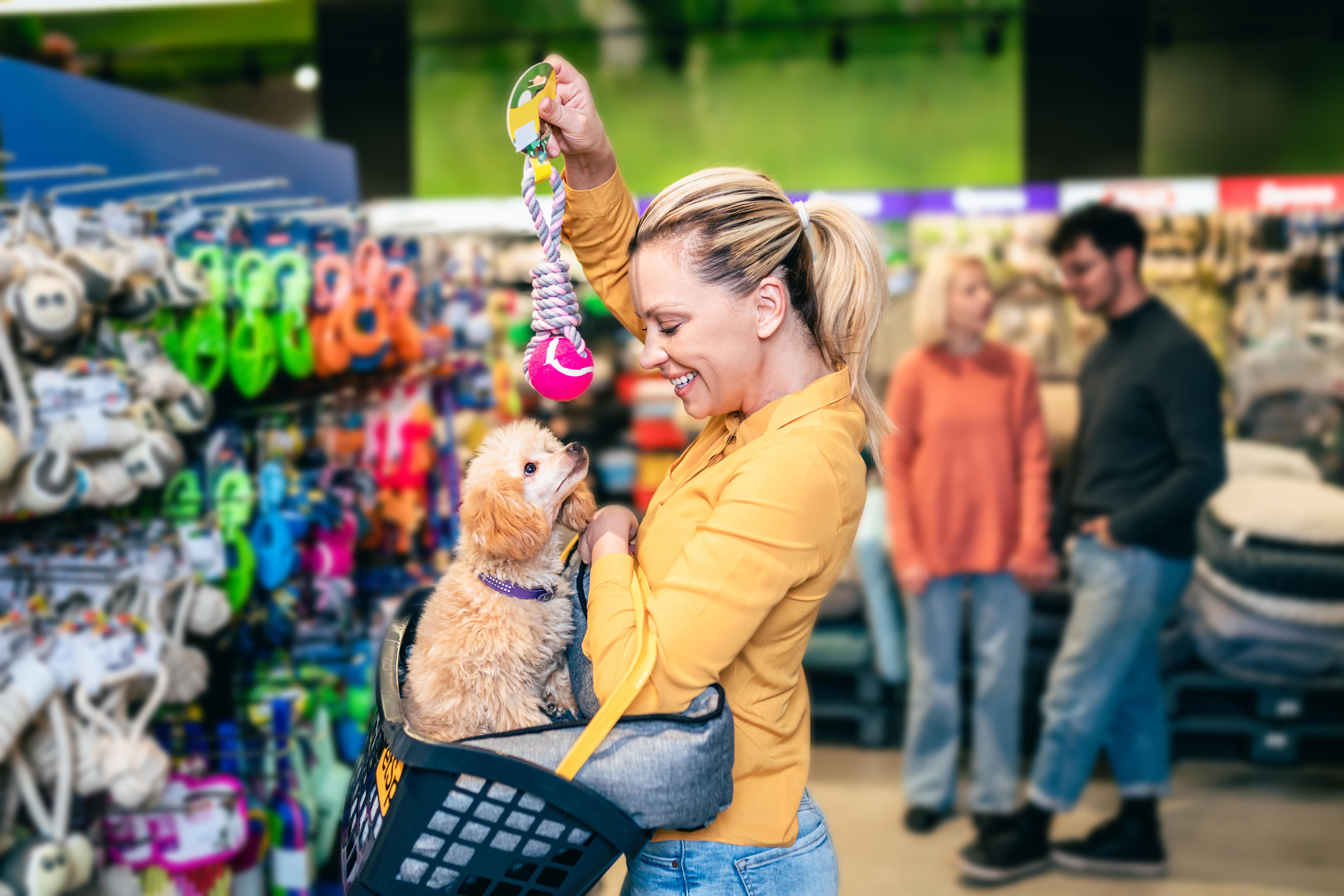 Pet Supplies Company Generates Over 115k with CTV